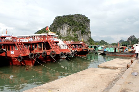 Các địa phương làm tốt công tác phòng chống bão Jebi  - ảnh 1